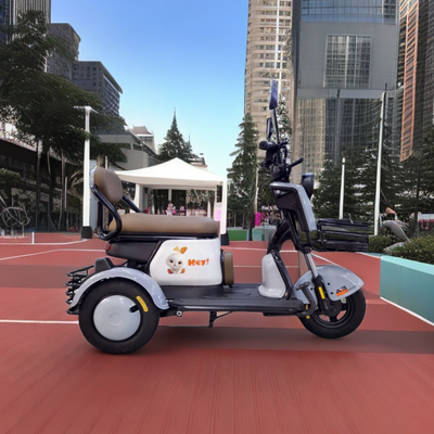 Adult electric tricycle Child seat 48/60-20Ah 800w Cute electric motorcycle