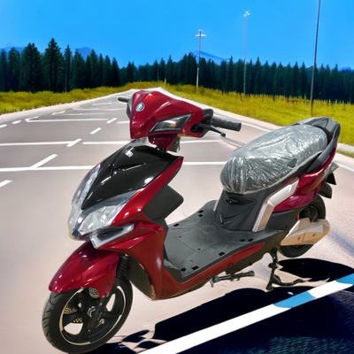 EEC COC high Speed Electric Motorcycle 60V 30A Lithium with disc brake motor
